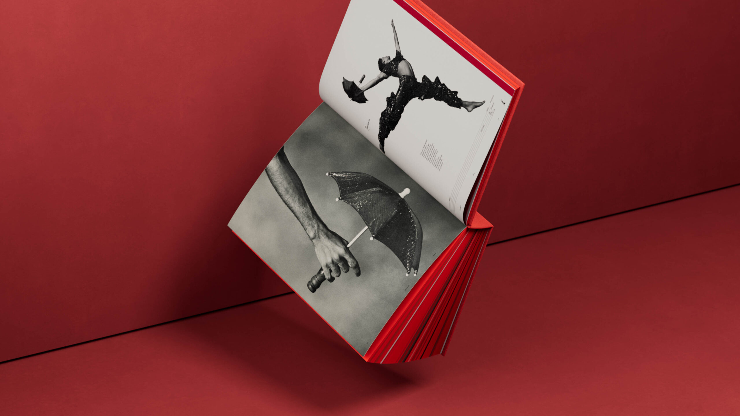 livro_aberto_voando_01_K